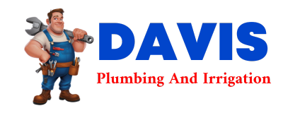 Trusted plumber in TERRE HILL